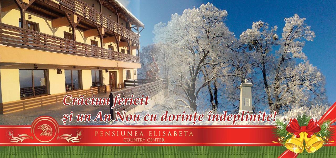 Pensiunea Elisabeta Merghindeal Εξωτερικό φωτογραφία