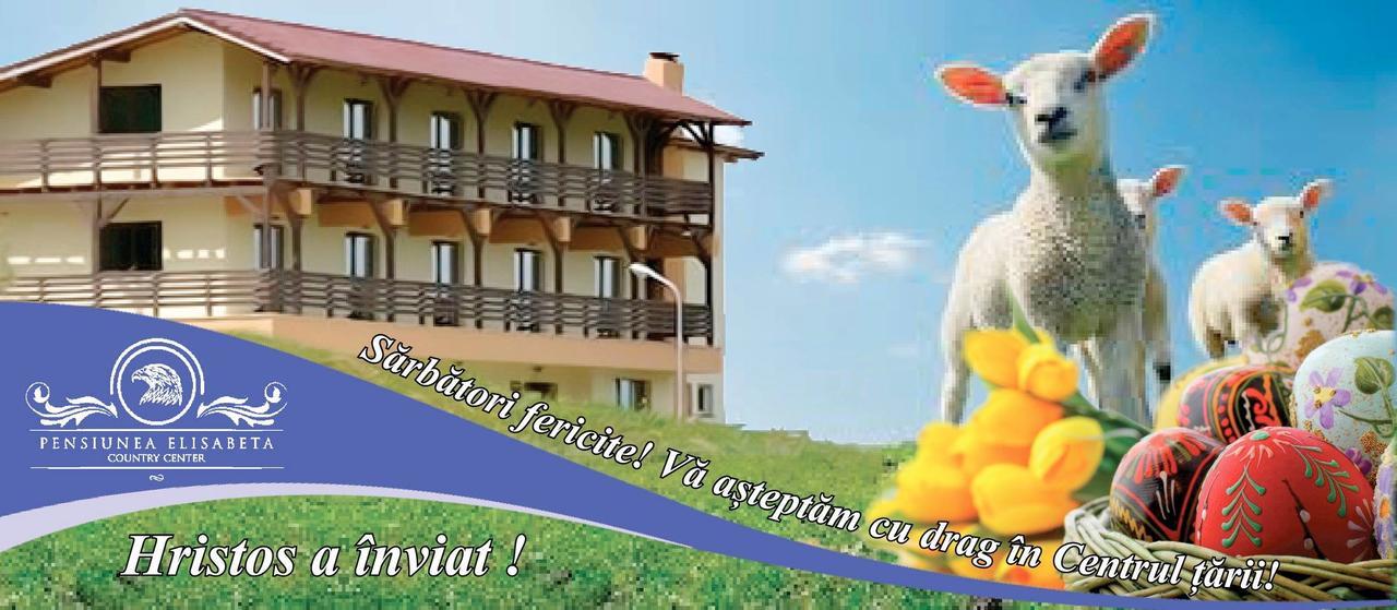 Pensiunea Elisabeta Merghindeal Εξωτερικό φωτογραφία